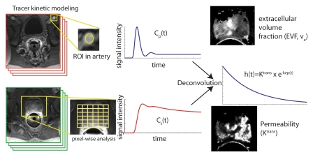 Figure 10a