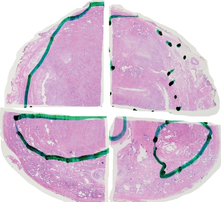 Figure 6h