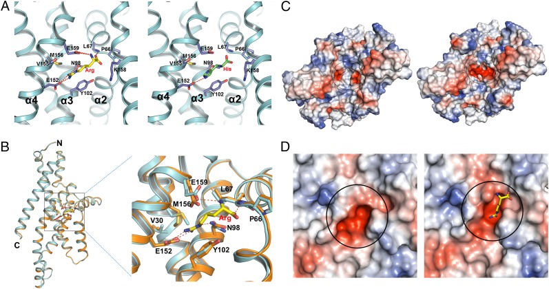 Fig. 4.