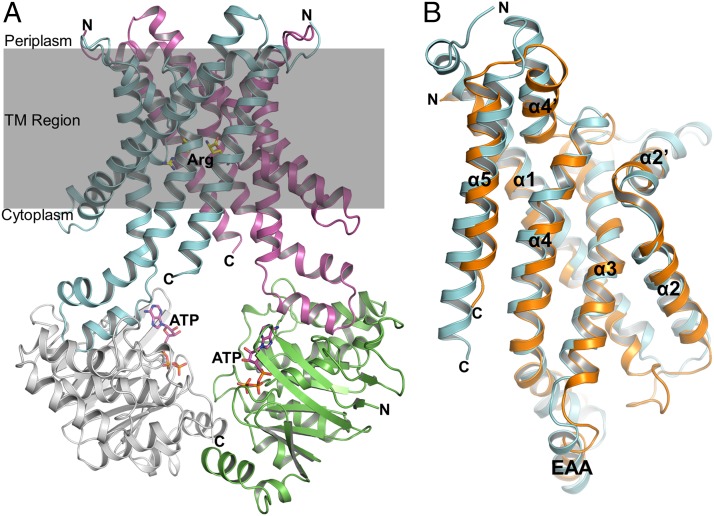 Fig. 3.