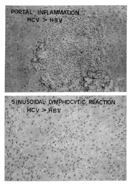 Fig. 9.