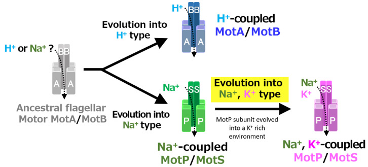 Figure 12