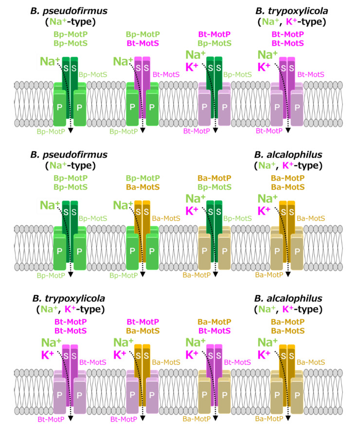 Figure 10