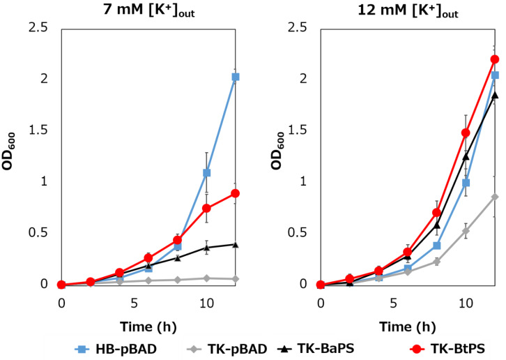 Figure 7