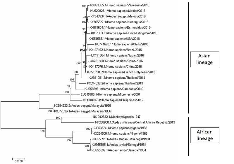 FIGURE 2