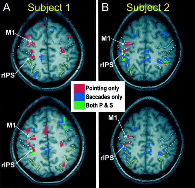 Fig. 2.