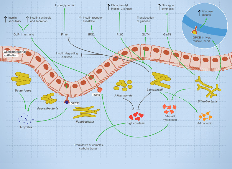 Figure 2