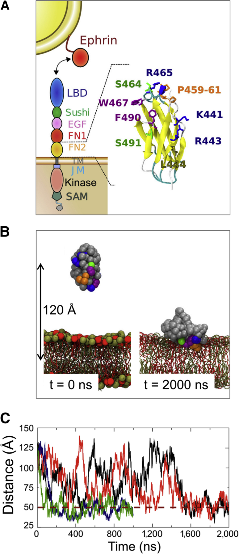 Figure 1