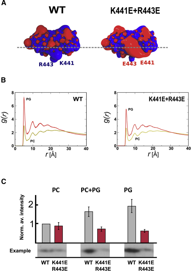 Figure 3