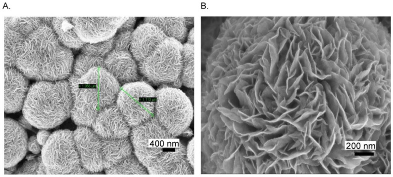 Figure 10