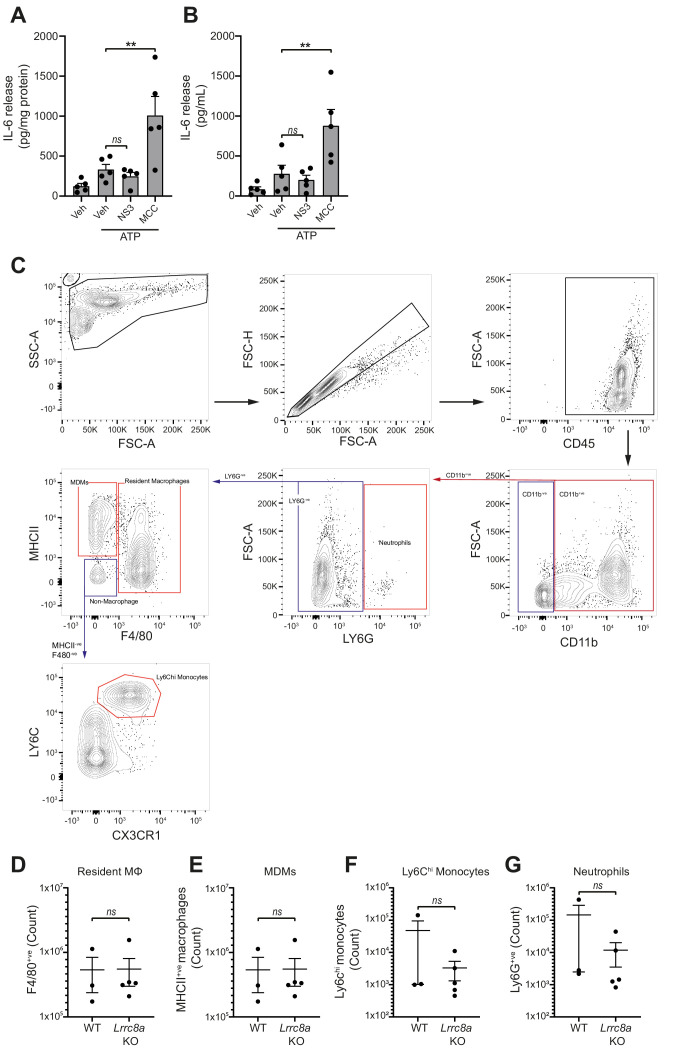 Figure 5—figure supplement 1.