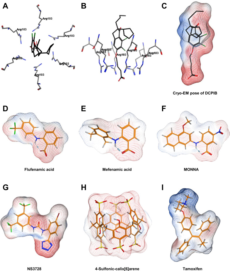 Figure 1—figure supplement 1.