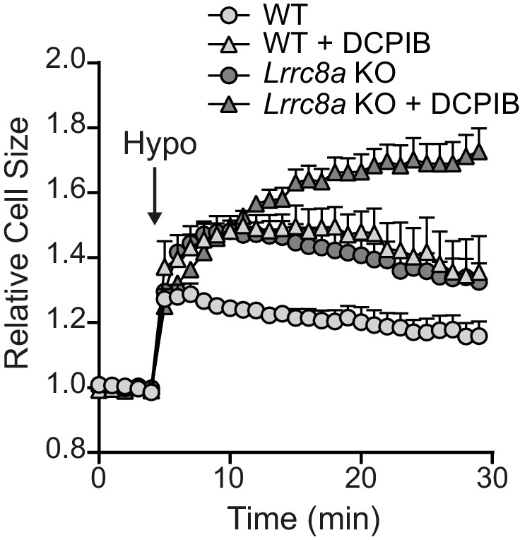 Figure 4—figure supplement 1.