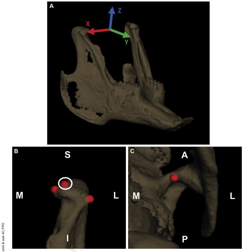 FIGURE 3