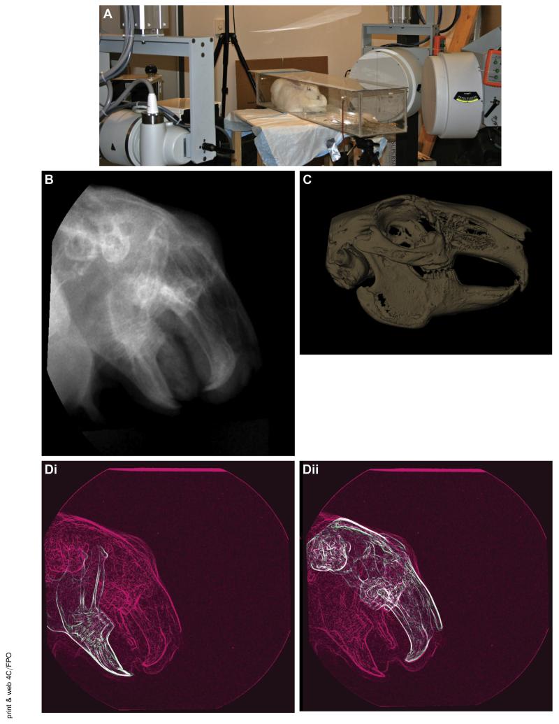 FIGURE 2