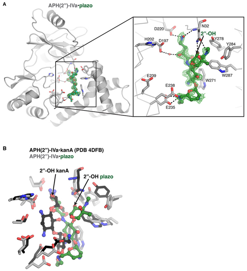 Figure 2.