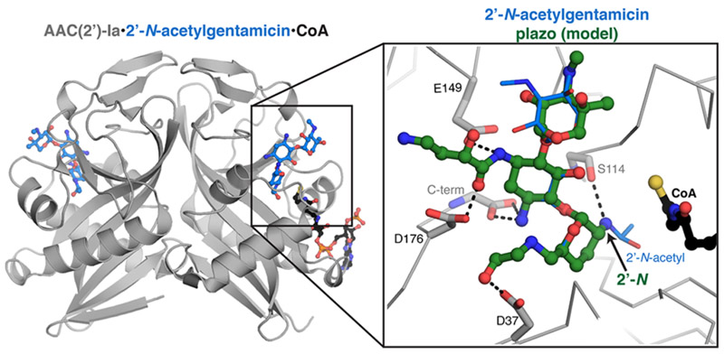 Figure 3.