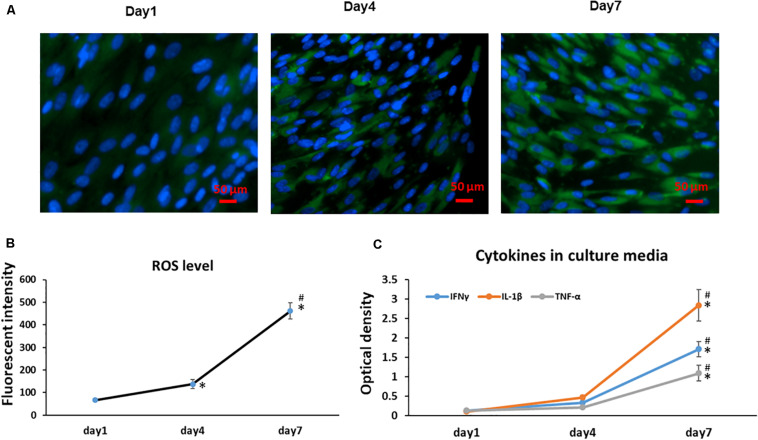 FIGURE 3