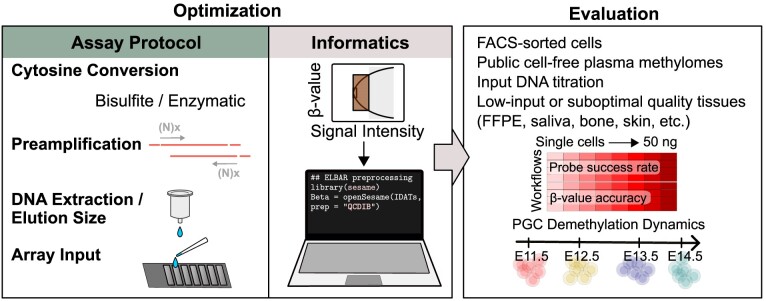 Graphical Abstract