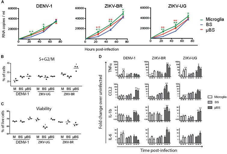 FIGURE 4