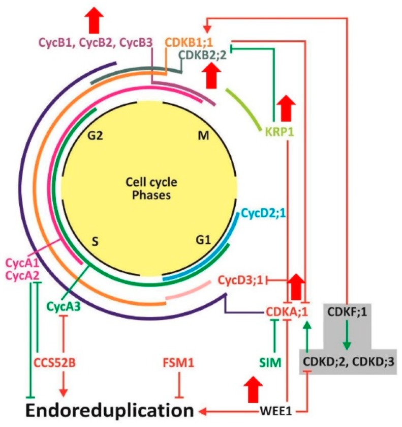 Figure 9