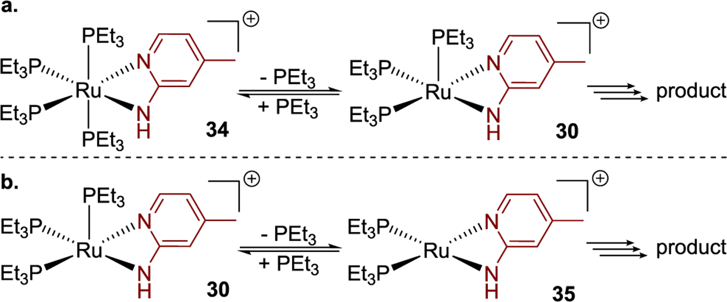 Scheme 4.