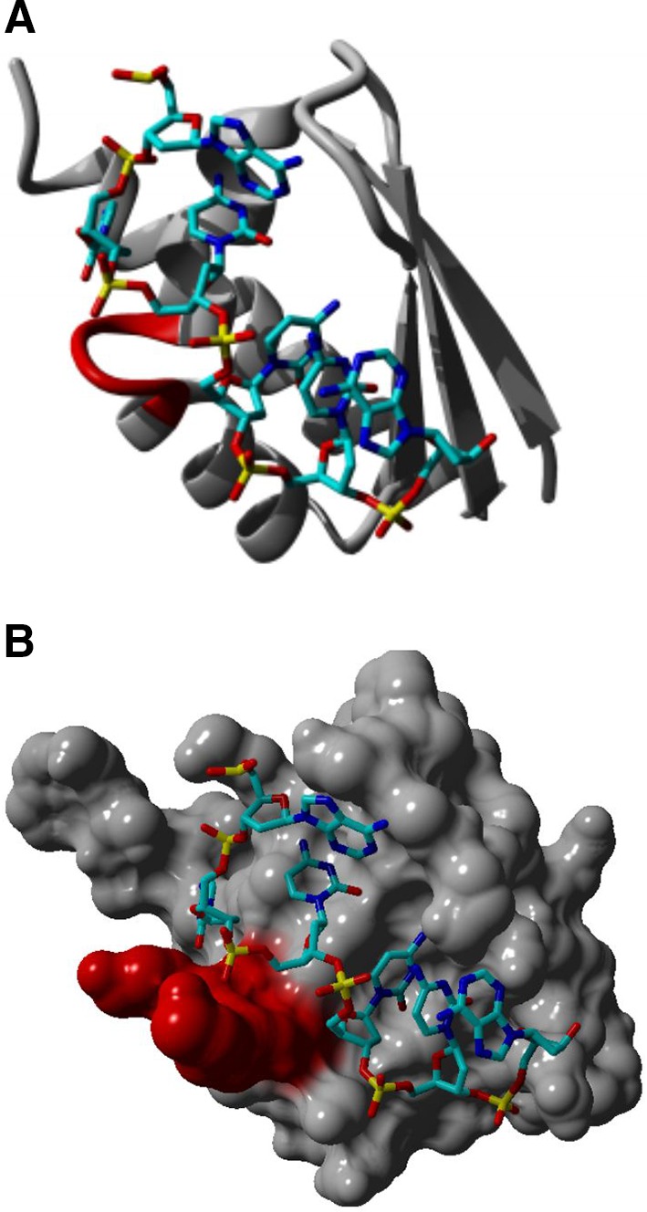 Fig. 3