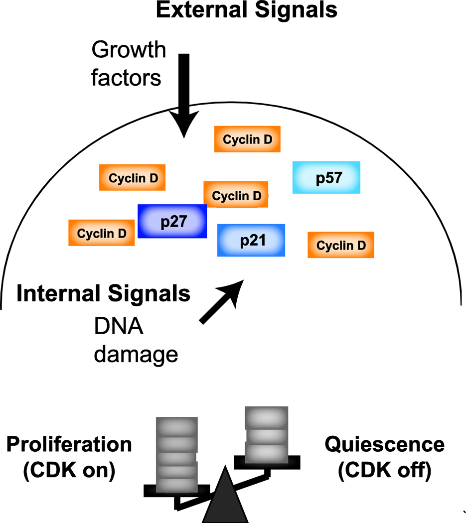 Figure 2: