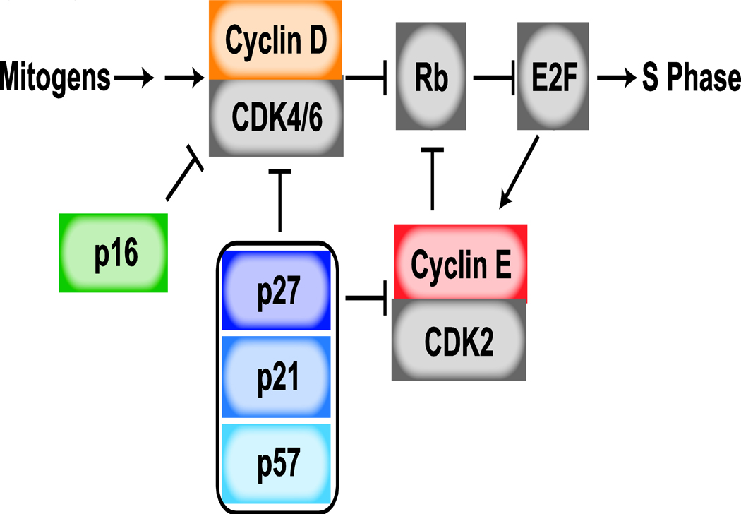 Figure 1: