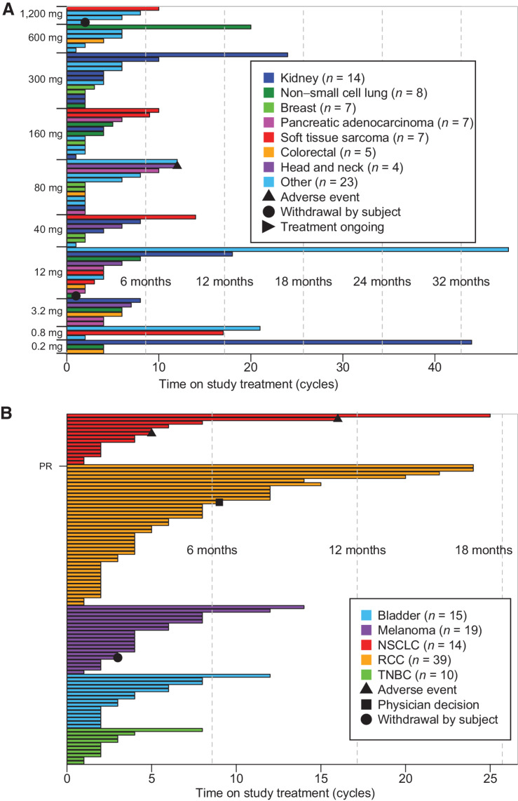 Figure 4. Time on study for patients according to tumor type in (A) dose-escalation and dose-expansion part I cohorts, and (B) dose-expansion part II cohorts.