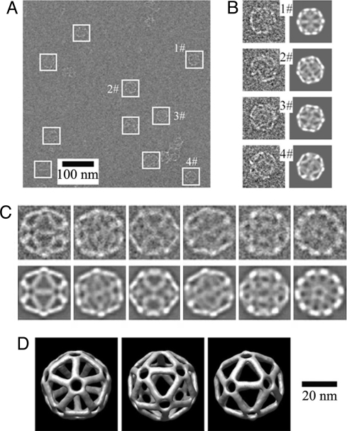 Fig. 3.