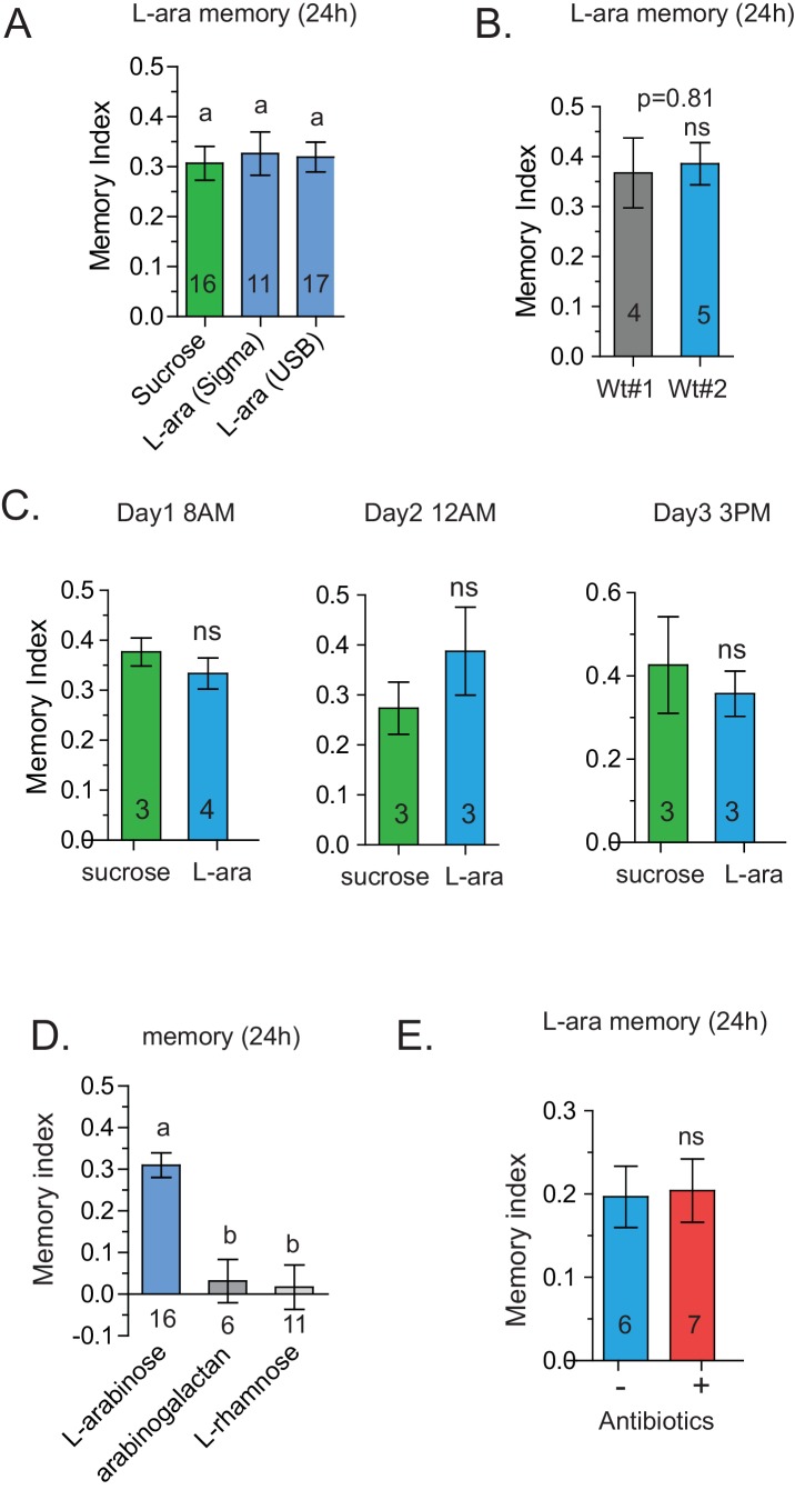 Figure 2—figure supplement 2.