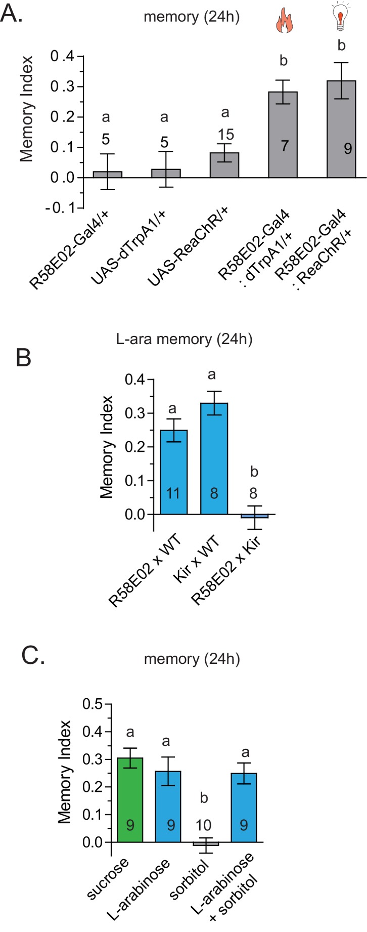 Figure 6—figure supplement 1.