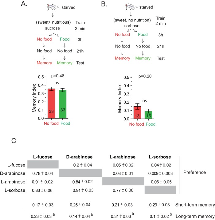 Figure 1—figure supplement 1.