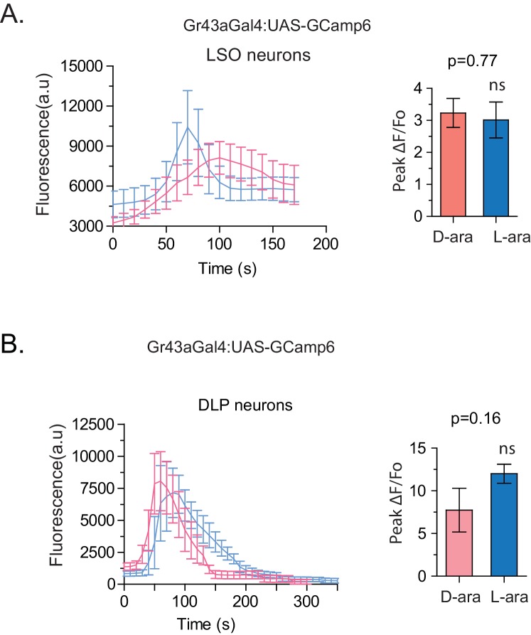 Figure 5—figure supplement 1.