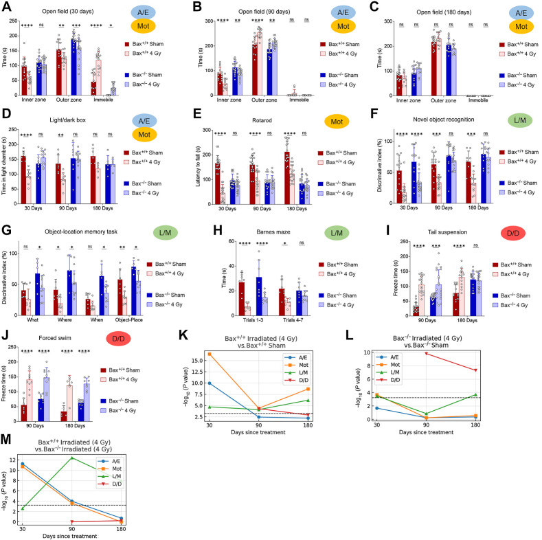 Figure 6. Prevention of radiation-induced NI by targeting apoptosis. A–C, A/E was assessed using open field test of Bax+/+ versus Bax−/− mice irradiated at P3-P6 and tested at 30 (A), 90 (B), or 180 (C) days. D, LD chamber test performed at indicated number of days after xRT. E, Mot was assessed using the rotarod test performed at indicated number of days after xRT. F, L/M was assessed using NORT performed at indicated number of days after xRT. G, L/M was assessed using the object-location memory test performed at 180 days after xRT. H, L/M was assessed using the Barnes maze test performed at 180 days after xRT. I and J, Despair and depression-like behavior was assessed using tail suspension (I) and FSTs (J) performed to assess despair and depression in animals at indicated number of days after xRT. K–M, Neurobehavioral composite scoring indicates the significance of differences in neurobehavioral impairments in animals irradiated at P3-P6 and tested at indicated period after xRT. Unless otherwise specified, comparison between groups was conducted by one-way or two-way ANOVA followed by Holm-Sidak post hoc multiple comparisons test. *, P < 0.05; **, P < 0.01; ***, P < 0.001; ****, P < 0.0001; ns, nonsignificant.