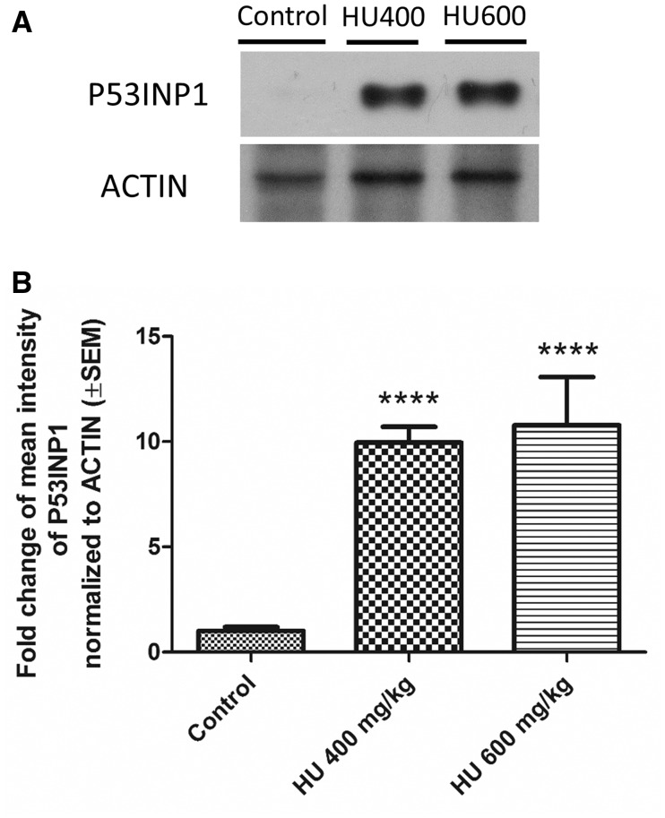 FIG. 7