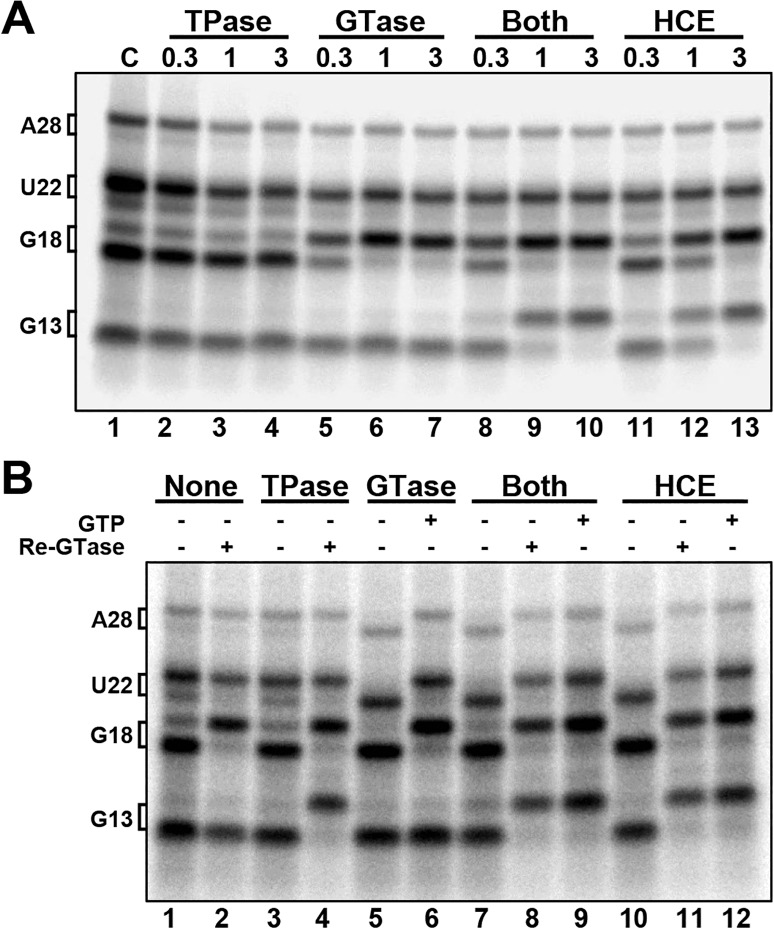 Fig 5