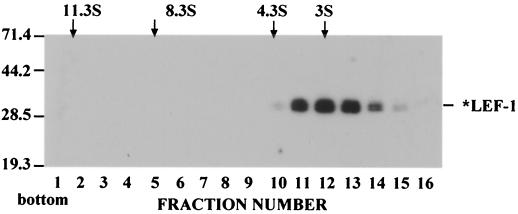 FIG. 9.