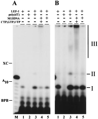 FIG. 5.