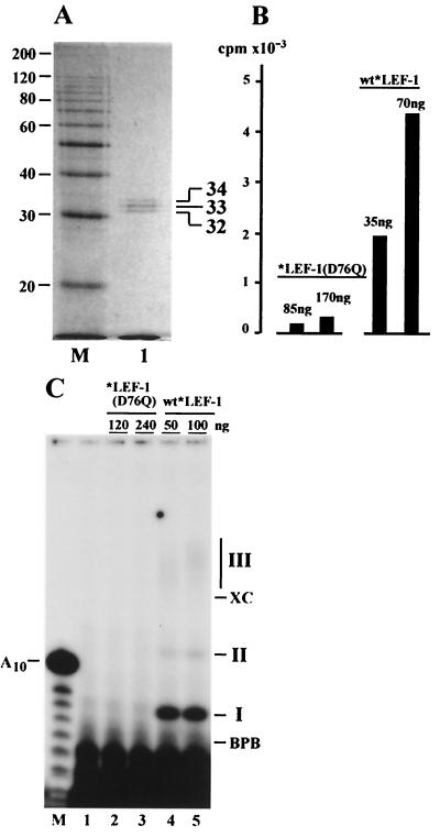 FIG. 8.