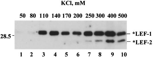 FIG. 10.