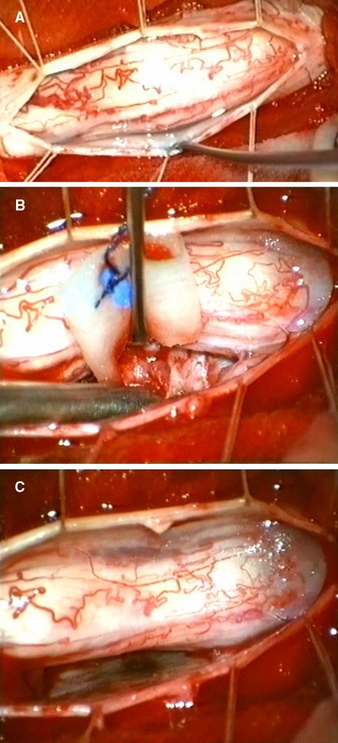 Fig. 5