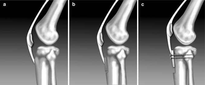 Fig. 5