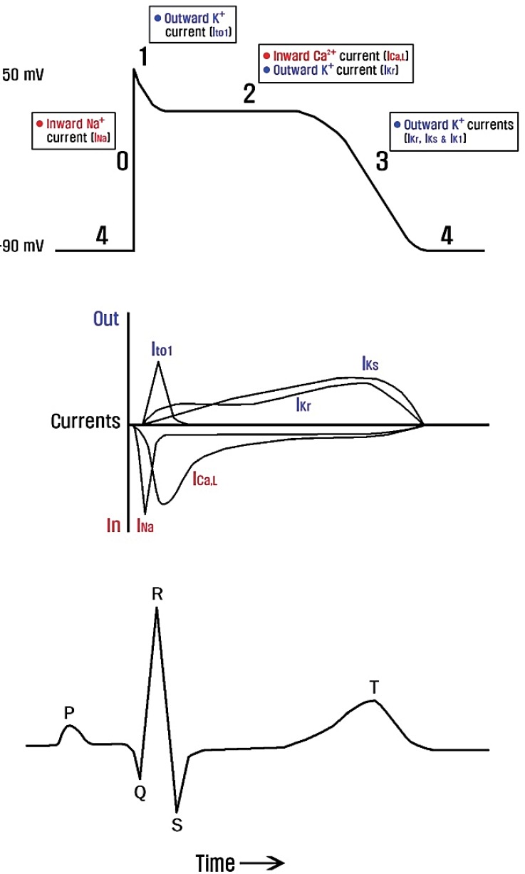Fig. 4