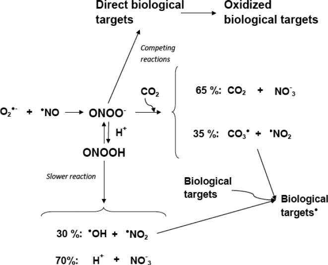 Fig. (1)