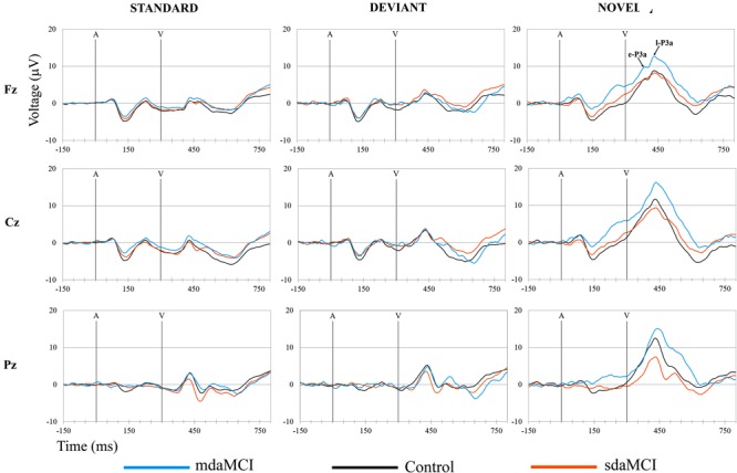 FIGURE 3