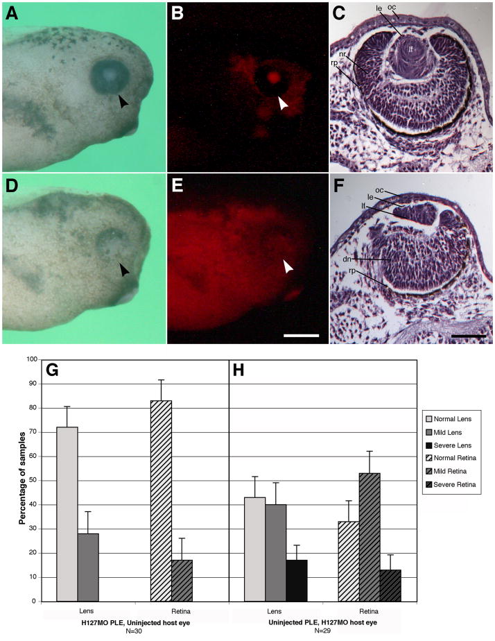 Fig. 11