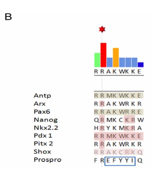 Figure 3B