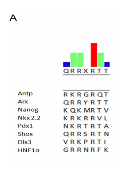 Figure 3A